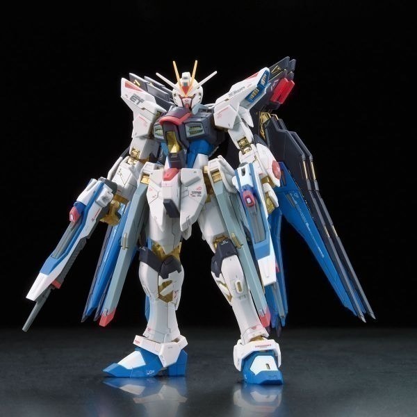 【自由模型】全新現貨 BANDAI ZGMF-X20A RG 1/144 #14 攻擊自由鋼彈-細節圖2