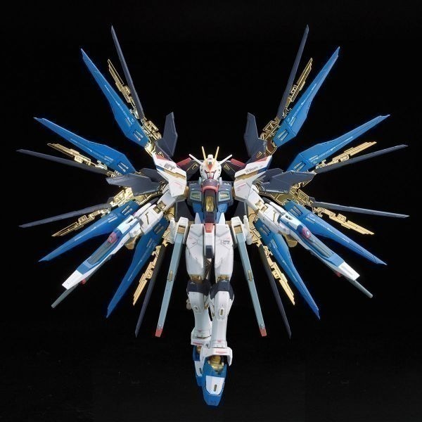 【自由模型】全新現貨 BANDAI ZGMF-X20A RG 1/144 #14 攻擊自由鋼彈-細節圖5