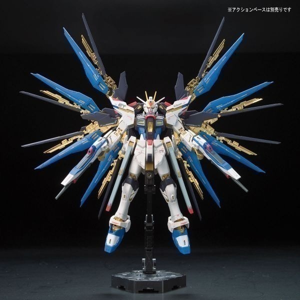 【自由模型】全新現貨 BANDAI ZGMF-X20A RG 1/144 #14 攻擊自由鋼彈-細節圖6