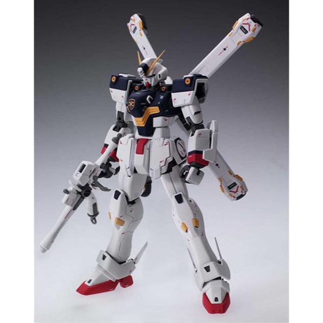 【自由模型】全新現貨 BANDAI 組裝模型 MG 1/100 骷髏鋼彈X1 Ver.ka-細節圖2