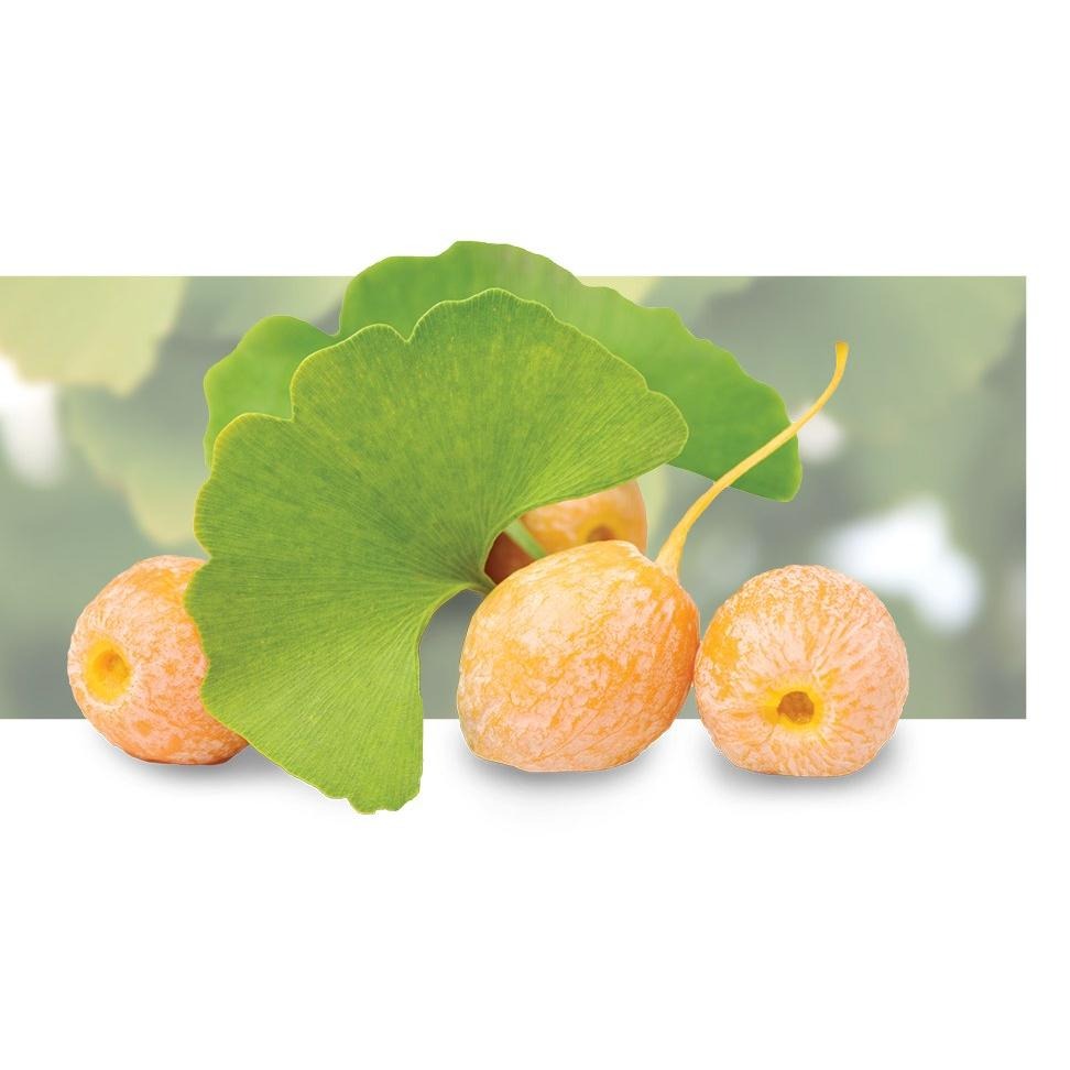 <現貨>Trunature Ginkgo Biloba 120mg 銀杏340 顆(2027/09)-細節圖3