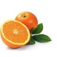 💖*現貨*☆ 美國好市多Nature Made 萊萃美 鐵 iron 補鐵 65mg，365錠(2028/01)-細節圖5