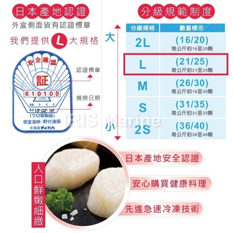 【 鮮選GO ! 】日本北海道 L 頂級大干貝 (1kg/21-25顆/盒)-細節圖5