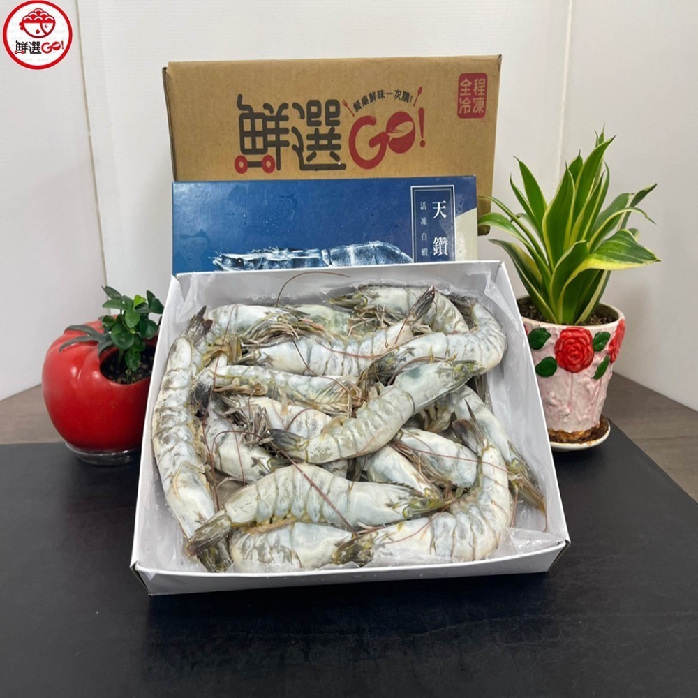 【鮮選GO !】特大活凍生白蝦(26/30 600g/盒)-細節圖5