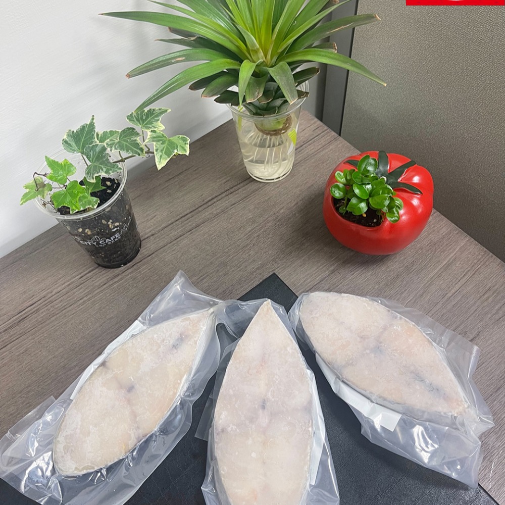 【 鮮選GO ! 】土魠魚切片真空（300g±5%/20%/冰)-細節圖4