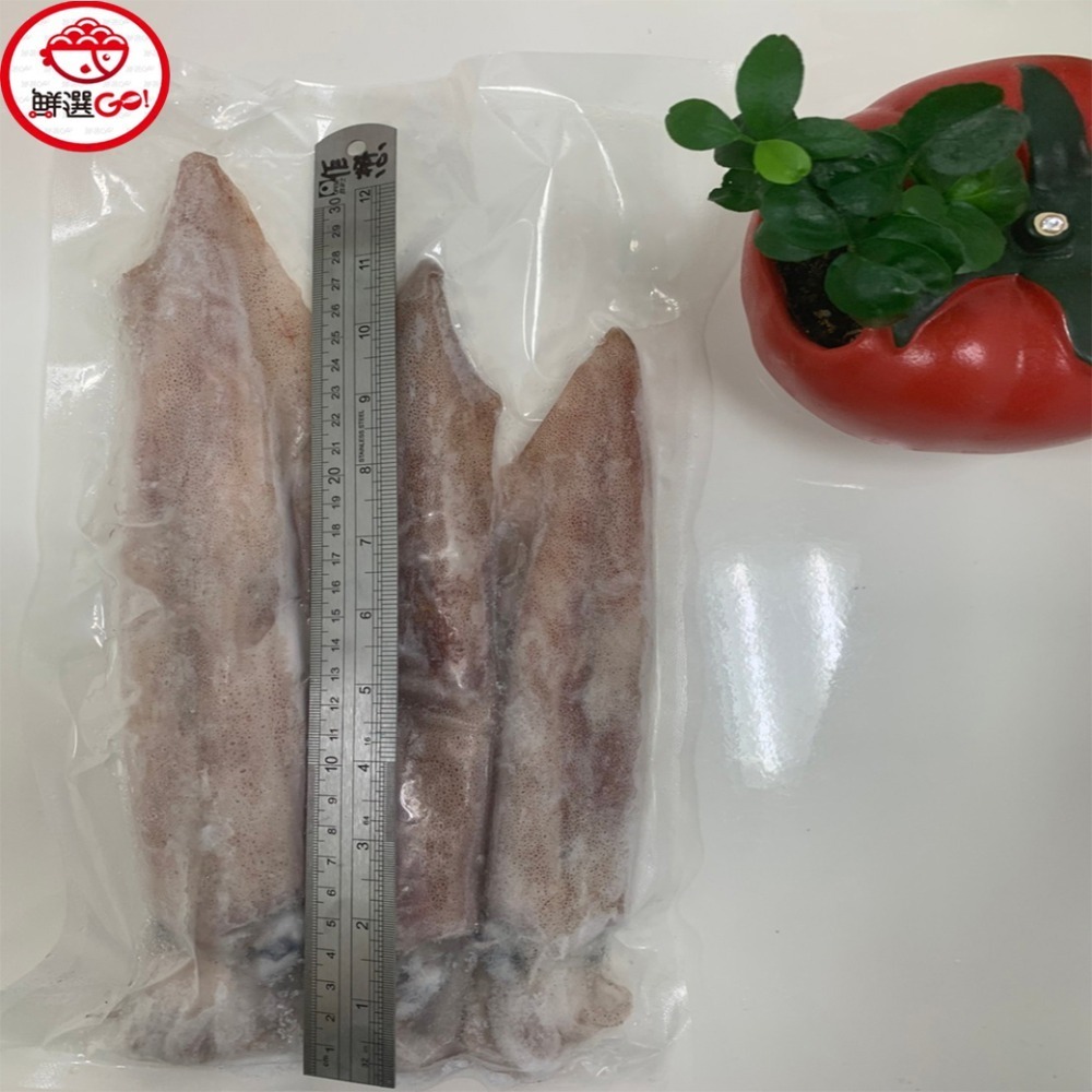 【鮮選GO !】活凍鮮透抽中卷(500g±10%/21-30cm/2-3尾保護冰)-細節圖4