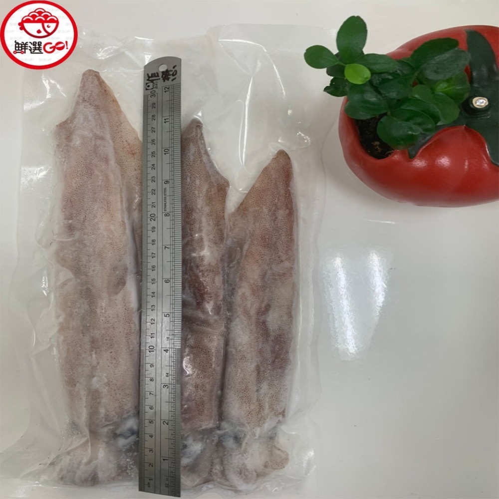 【鮮選GO !】活凍鮮透抽中卷(500g±10%/21-30cm/2-3尾保護冰)-細節圖6