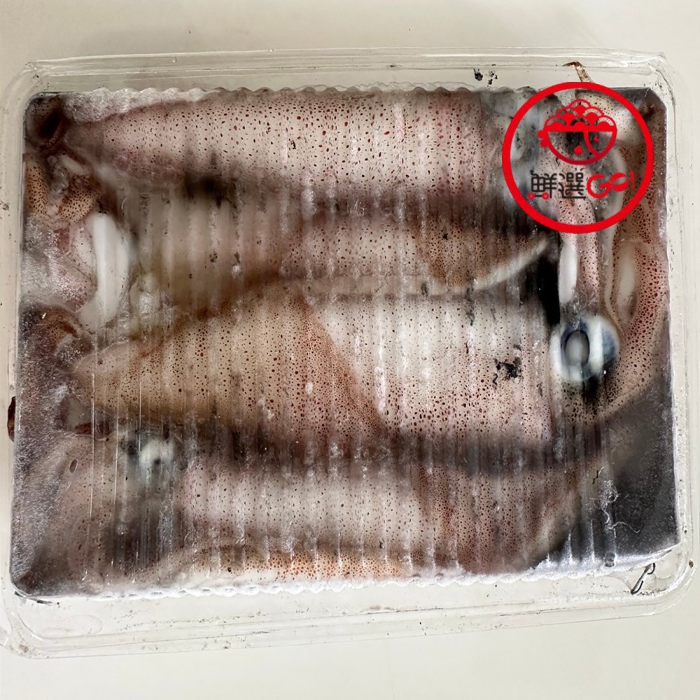 【鮮選GO !】活凍鮮透抽小卷(300g±10%/15-18cm/4尾/盒/保護冰)-細節圖2