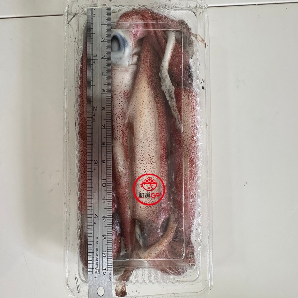 【鮮選GO !】活凍鮮透抽小卷(300g±10%/15-18cm/4尾/盒/保護冰)-細節圖3