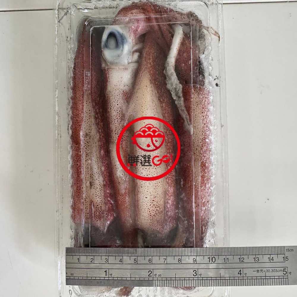 【鮮選GO !】活凍鮮透抽小卷(300g±10%/15-18cm/4尾/盒/保護冰)-細節圖4