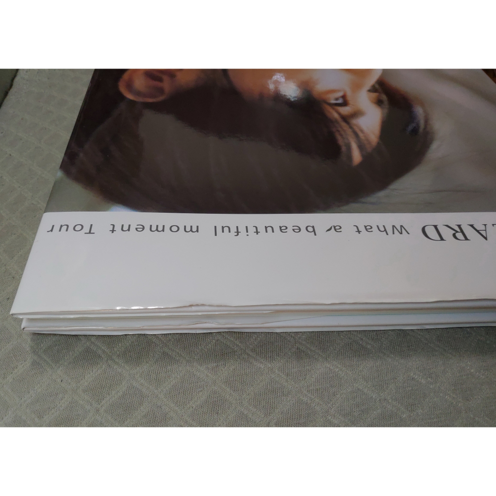 ZARD - What Beautiful Moment TOUR (2004演唱會現場販售之場刊)  日版 二手書籍-細節圖4