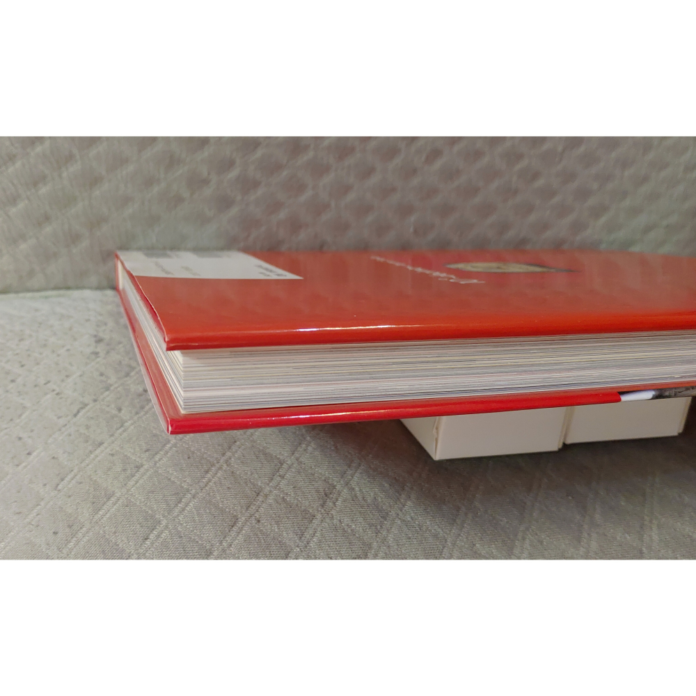 ZARD - ZARD 10th Anniversary Book 10°~decimo~   日版 二手書藉-細節圖7