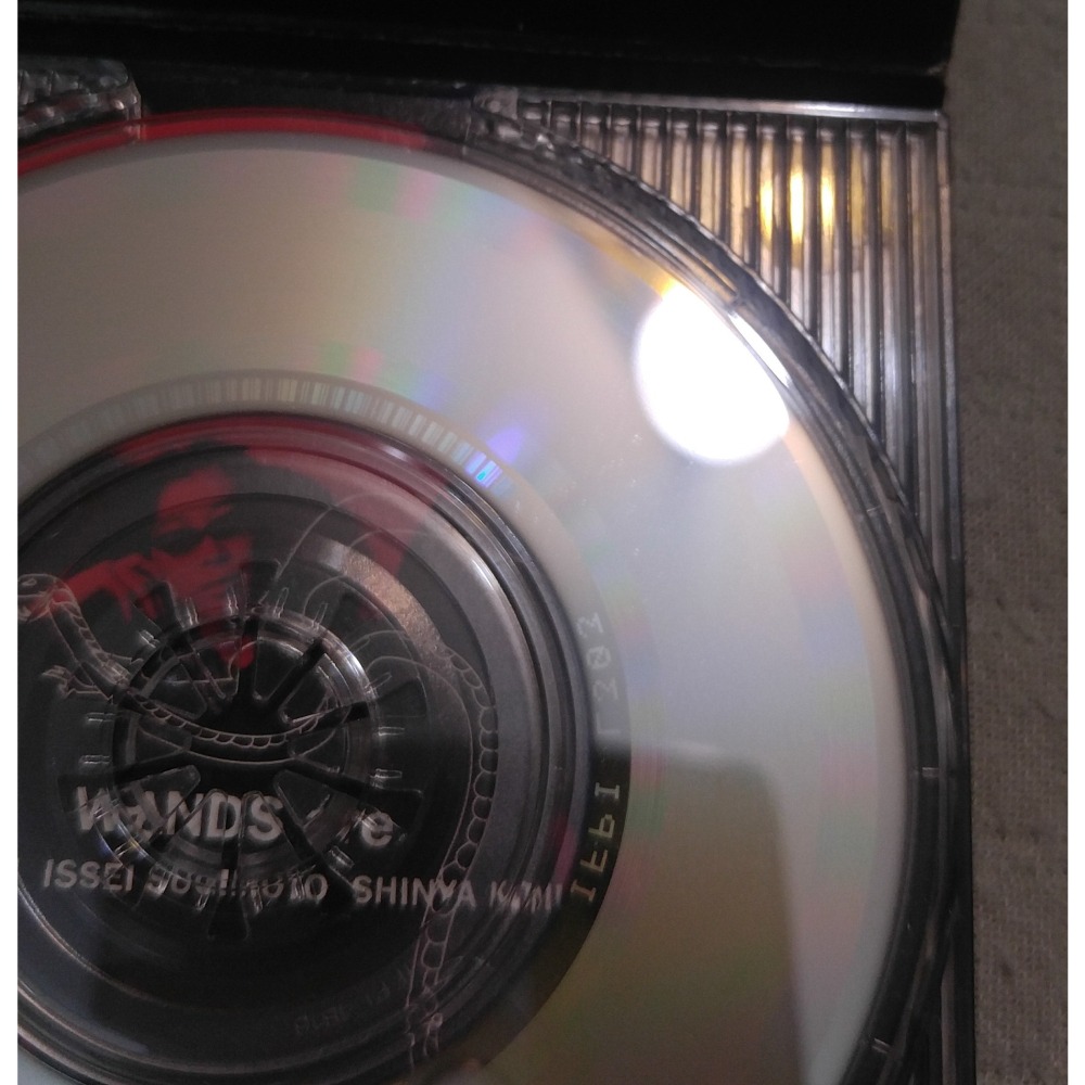 WANDS - 「今日、ナニカノハズミデ生きている」   日版 二手單曲 CD-細節圖9