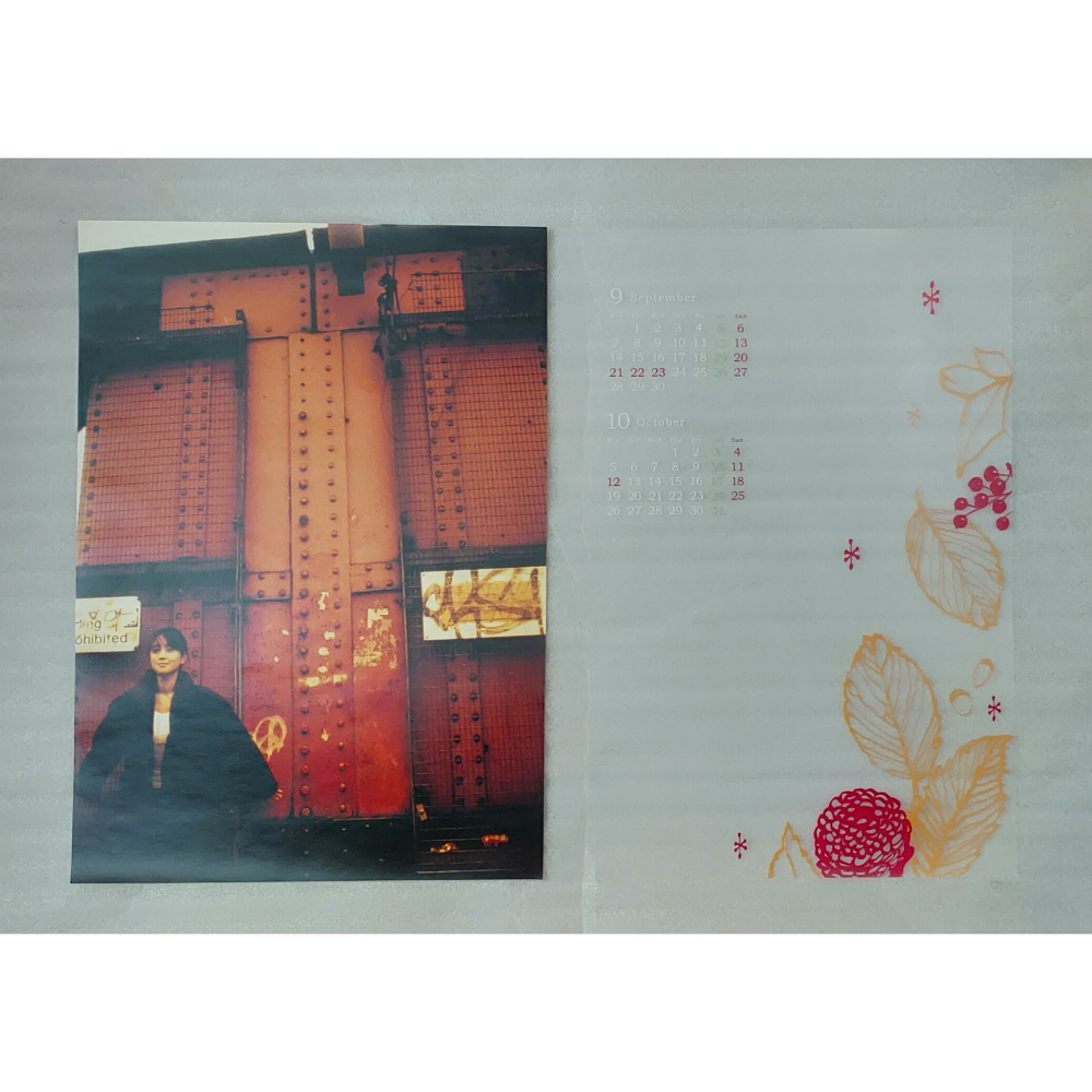 ZARD - WEZARD Official Calendar 2009   日版 二手 月曆-細節圖7