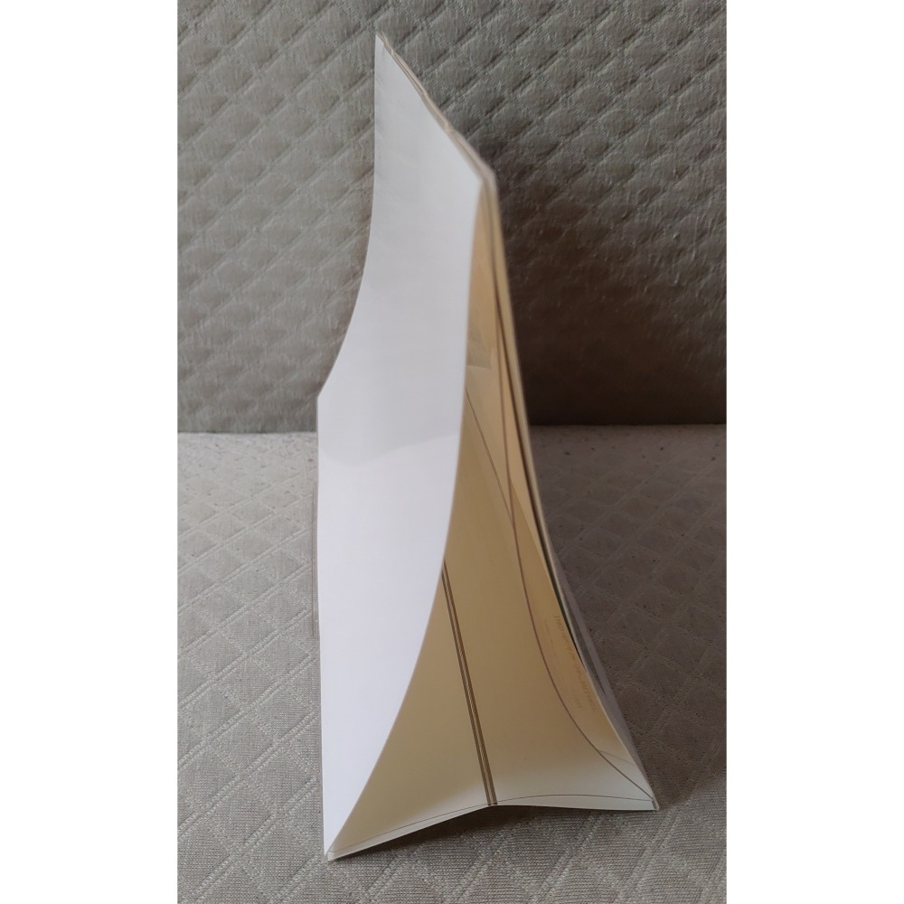 ZARD - WEZARD Official Calendar 2011   日版 二手 月曆-細節圖4