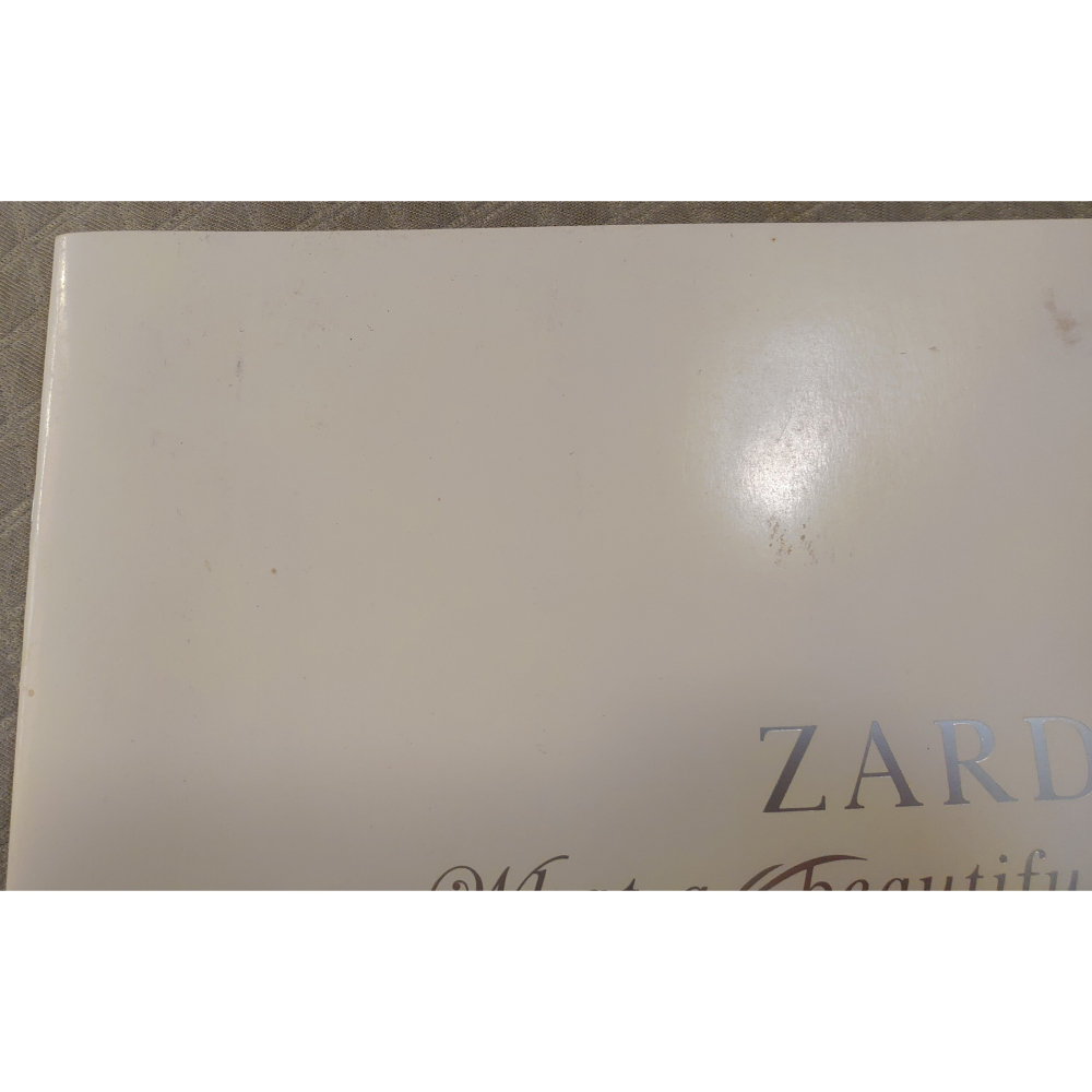 ZARD - What a beautiful memory 2007 (2007年場刊) (2)  日版 二手書籍-細節圖4