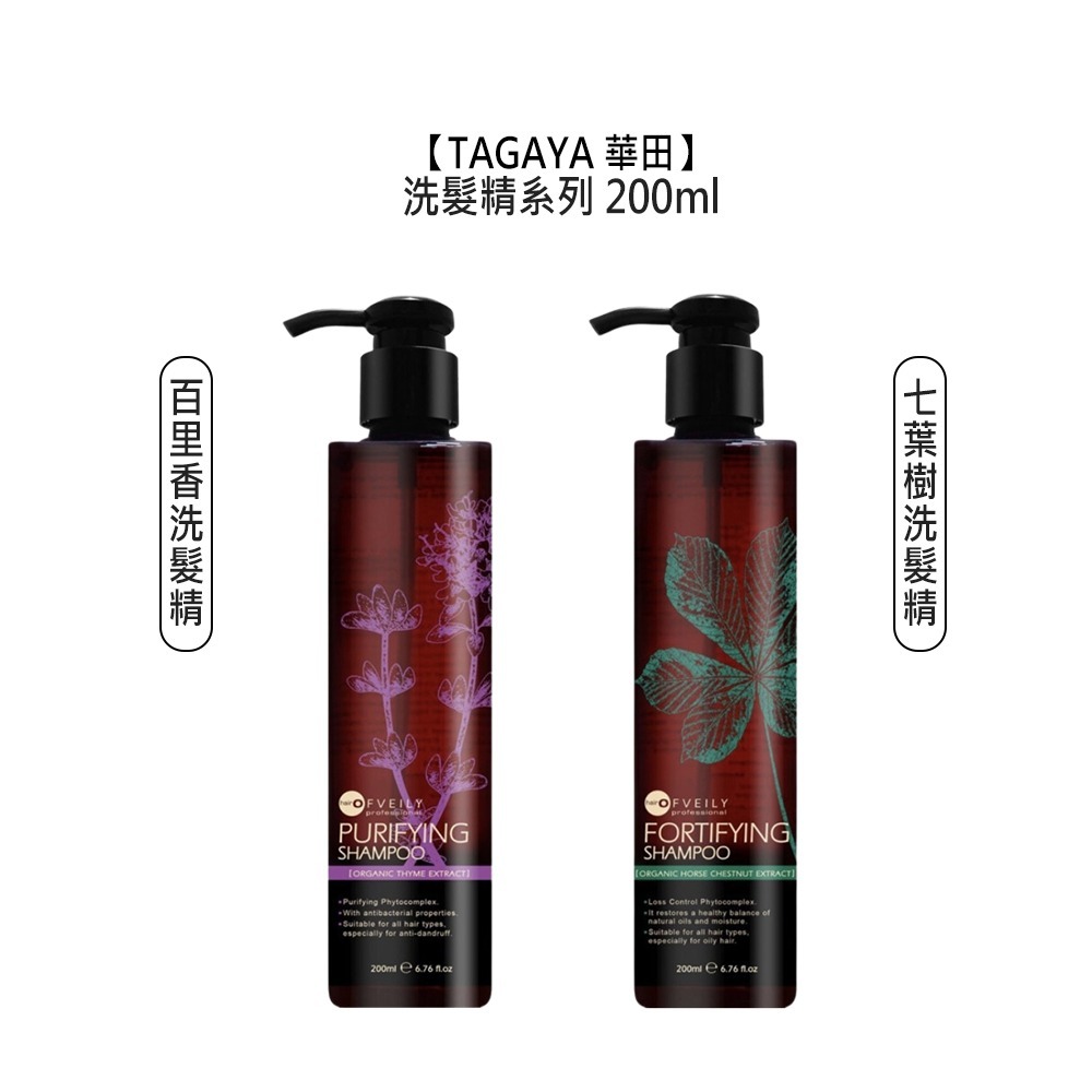 【魅惑堤緹🚀】TAGAYA 華田 百里香 七葉樹 洗髮精 200ml OFVEILY 歐菲莉 控油 蓬鬆 頭皮 清爽-細節圖3