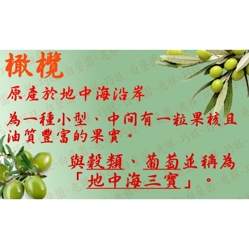 【白堊園】無籽開胃橄欖 200g (無籽)-細節圖4