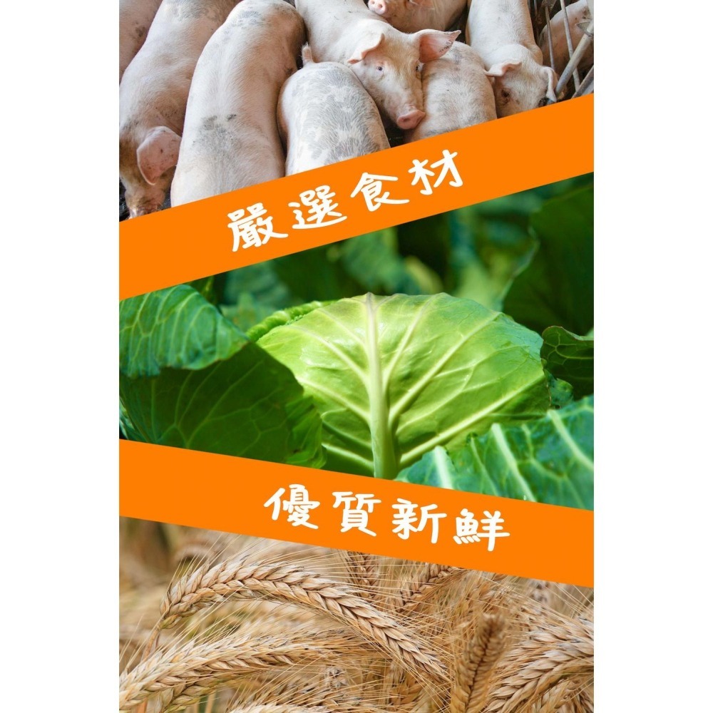 【津津膳食堂】高麗菜豬肉水餃(780g)-細節圖8