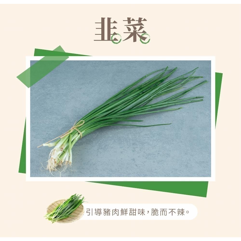 【健村】豬肉水餃(高麗菜&韭菜)(624g/包)-細節圖6