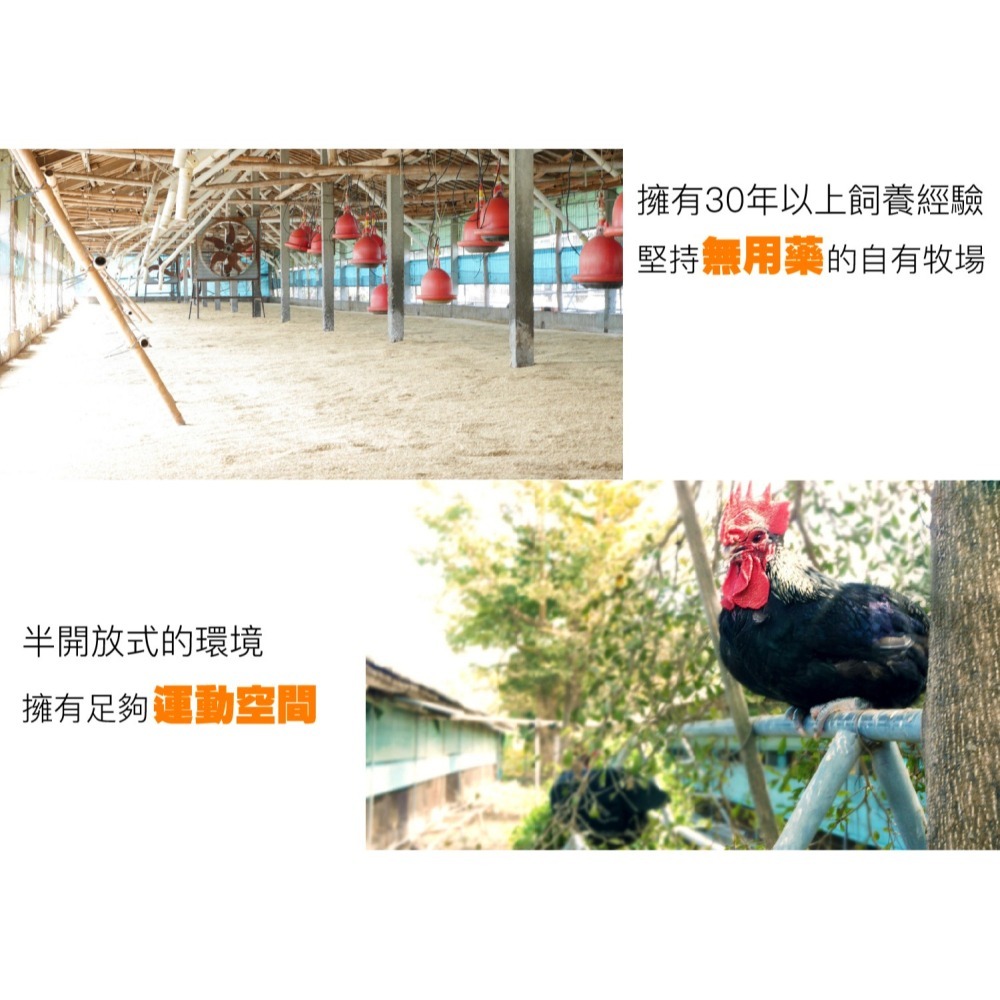 【元榆牧場】煙燻甘蔗雞(土雞)-雞翅(300g)-細節圖3