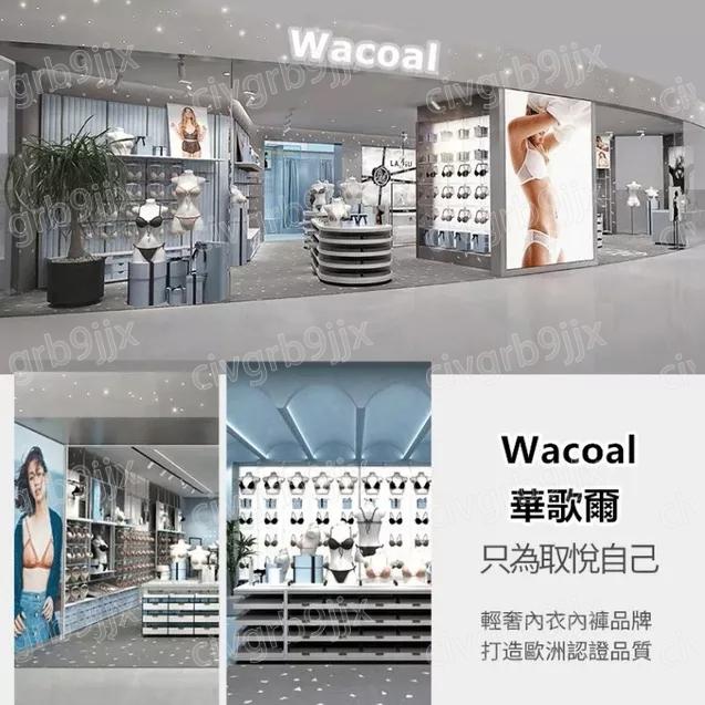 HFH-爆款絲滑高腰塑形內褲 收臀束腹褲 強力塑身褲 產後收小肚子 塑形褲 女生內褲 抗菌內褲 單件入-細節圖4