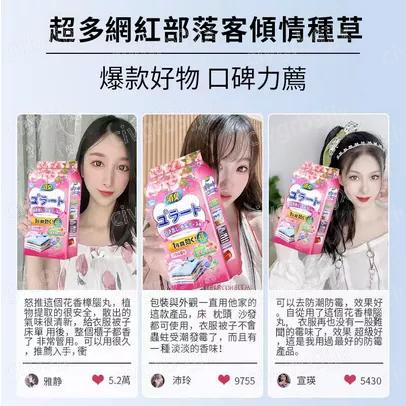 無毒衣物防霉防蛀樟腦丸 消臭 防蟲劑 驅蟲香包 除蟲袋 防潮 樟腦丸 除蟲包 防黴 防蟑螂防霉 防蟲  48小包入-細節圖2