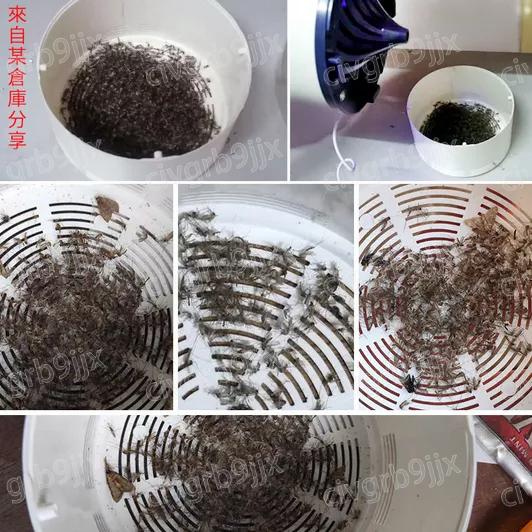 光催化滅蚊燈 滅蚊神器 靜音滅蚊 USB捕蚊燈 吸入式 紫光捕蚊器 滅蚊器 驅蚊器 單個入-細節圖2