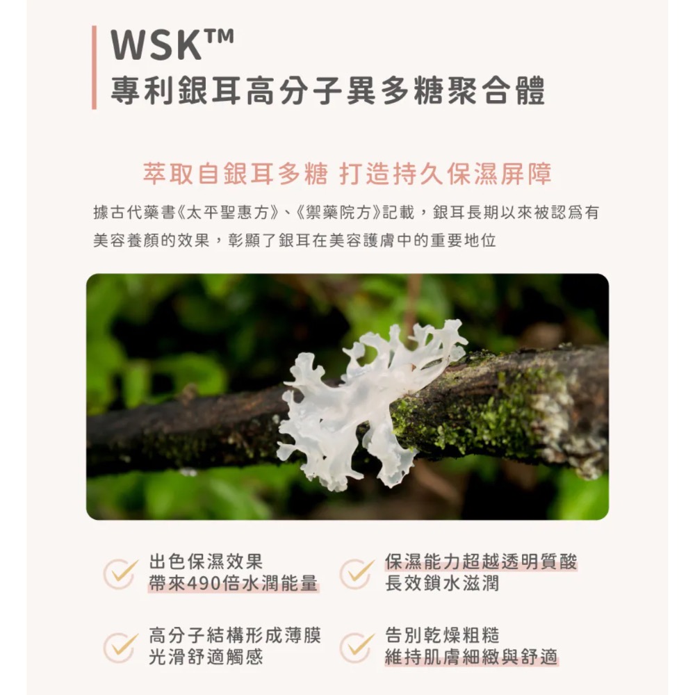 初馨B5保濕修復霜-細節圖5