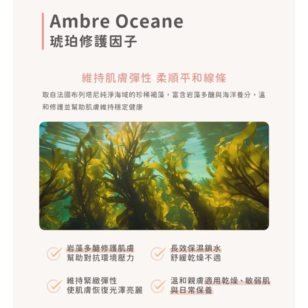 初馨B5保濕修復霜-細節圖6