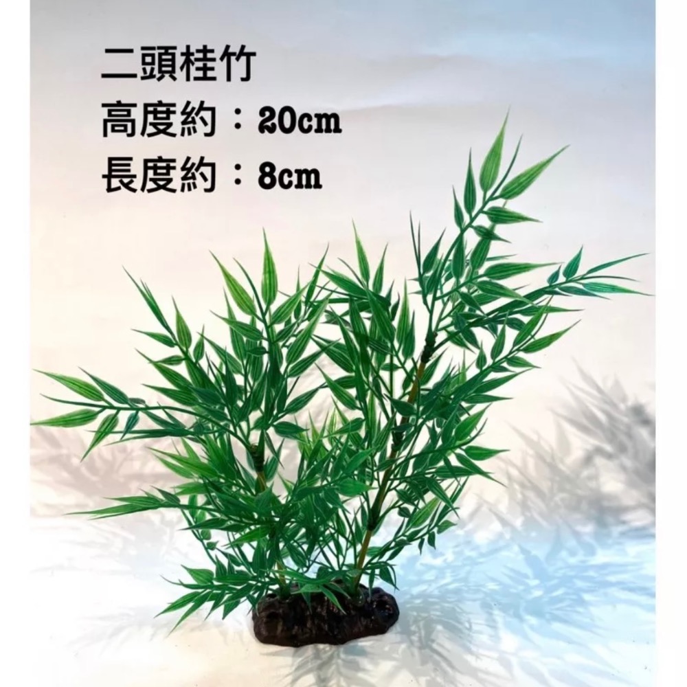 三頭桂竹 仿真竹葉 竹子 假竹 菜盤擺飾 日式料理 刺身冷盤 擺盤 桌上裝飾 盆景 竹林 竹葉 水族箱擺飾 假樹 人造樹-細節圖4