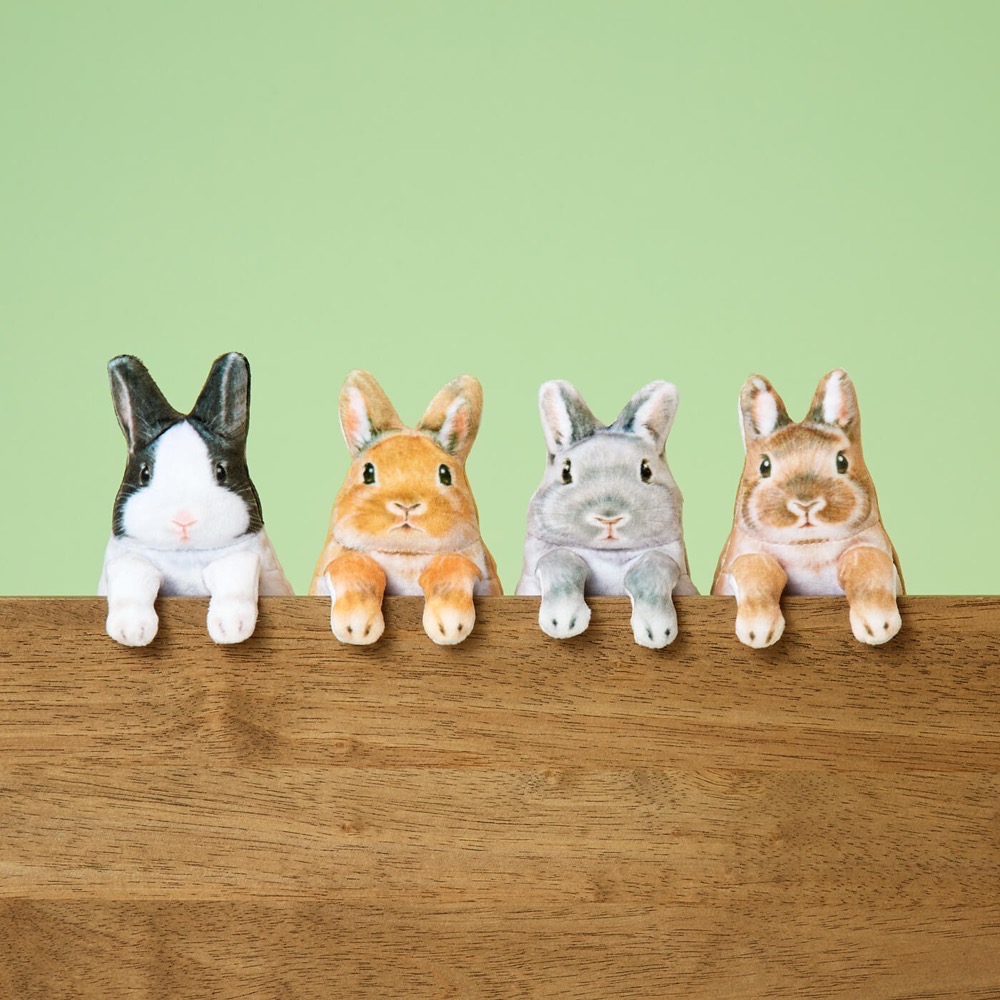 FELISSIMO 授權【YOU+MORE!】可愛探頭兔兒造型零錢/化妝包-細節圖7