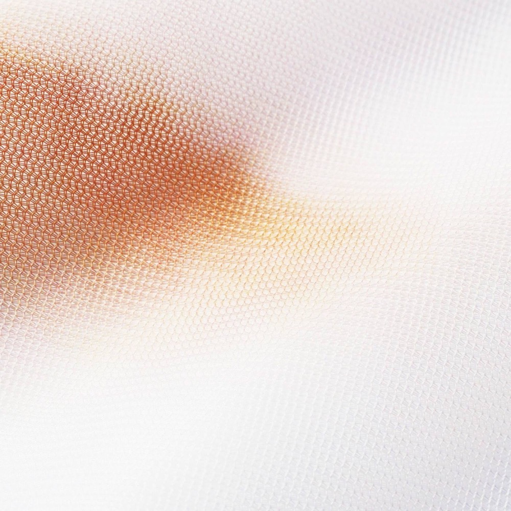 FELISSIMO 授權【貓部】大眼貓透氣網格肩背衣物收納袋-細節圖2