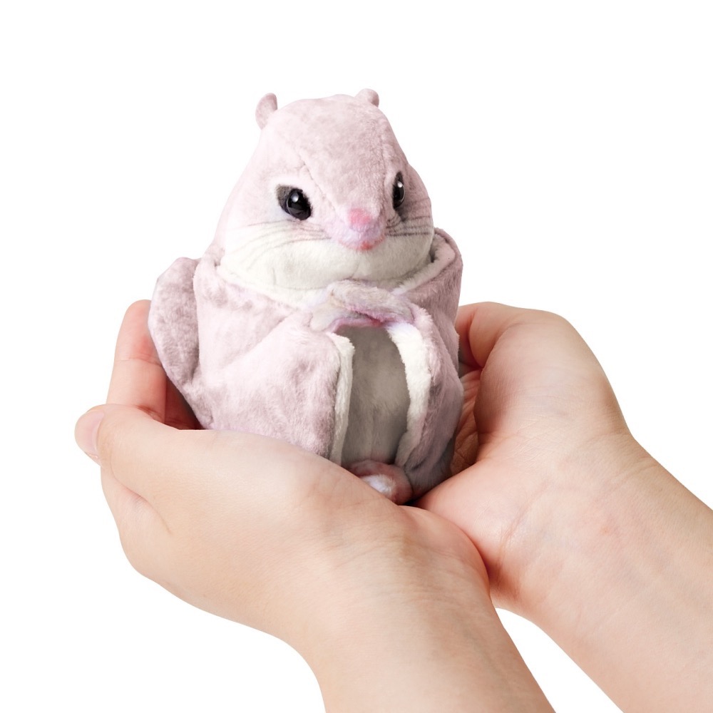 【YOU+MORE!】北海道飛天鼯鼠零錢包-細節圖3