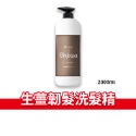 大象的鼻子🐘Chuli 生薑韌髮洗髮精 藍薑蓬鬆洗髮精 無矽靈 藍薑 生薑 洗髮精 初梨 大容量-規格圖1