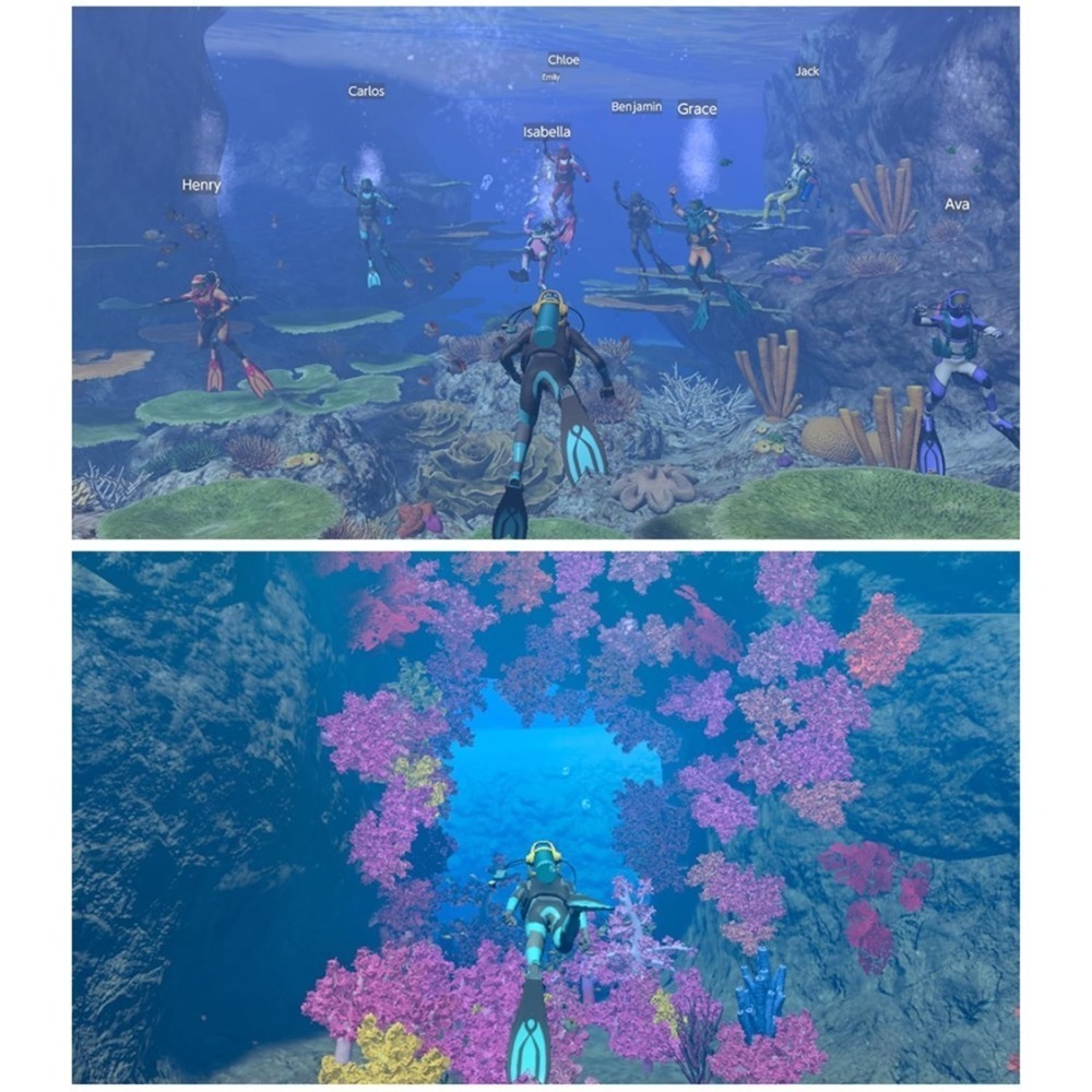 Nintendo 任天堂 Switch 永恆蔚藍 流光 中文版-細節圖3