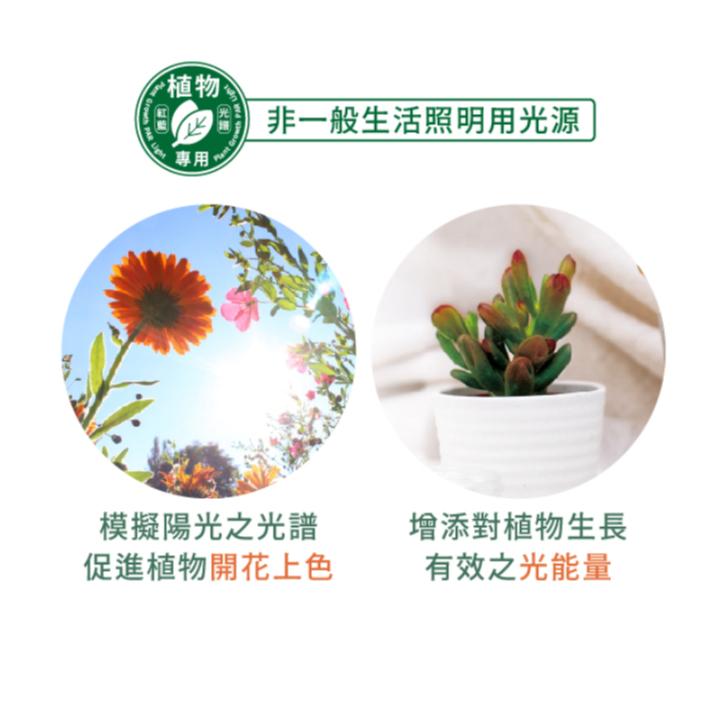 【舞光原廠授權 /紅藍光譜植物PAR燈】含稅開發票 舞光 LED 24W 植物燈 生長燈 紅藍光譜 植物專用 PAR38-細節圖6