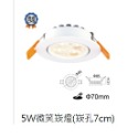 5W 白外殼 微笑崁燈 (開孔7公分)