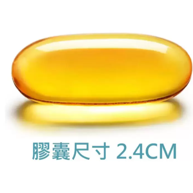 特價 120顆 澳佳寶 DHA 精粹濃縮深海魚油膠囊 (60顆 X 2瓶)  靈活思緒，孕期補給  rTG 型式好吸收-細節圖2