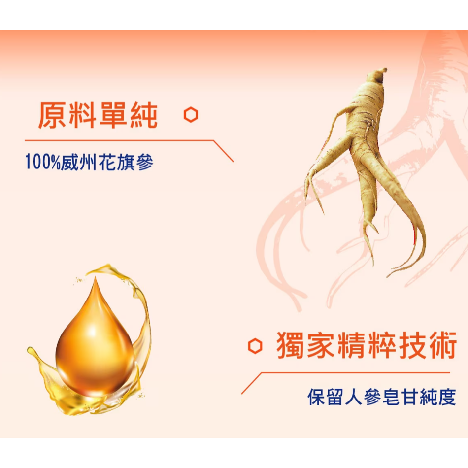 特價30入 300ml 美國許氏 粉光濃參精 10毫升X30入 美國威斯康辛州6年根花旗參 人蔘 粉光蔘 花旗蔘 蔘精-細節圖3