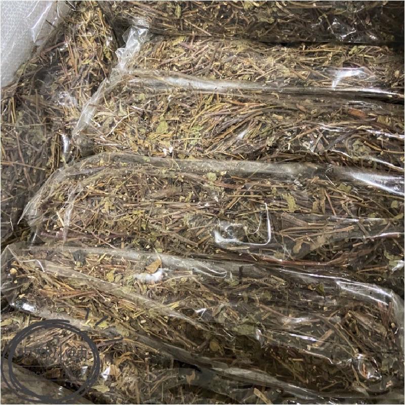 《東林小舖》仙草包 關西仙草 燒仙草 仙草茶 仙草凍 青草茶 農藥檢驗合格-細節圖2