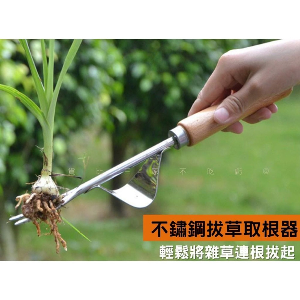 @貨比三家不吃虧@不鏽鋼拔草取根器 拔草神器 不鏽鋼拔草器 家用挖野菜 省力拔草器 挖草器 起草器 鋤草 木柄園藝工具-細節圖2