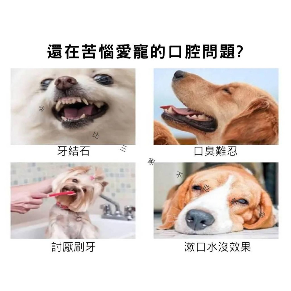 @貨比三家不吃虧@寵物潔牙齒指套 寵物潔牙濕巾 寵物用品 狗牙刷 口氣 狗潔牙 一次性手指套 寵物口腔護理 50枚/罐-細節圖2