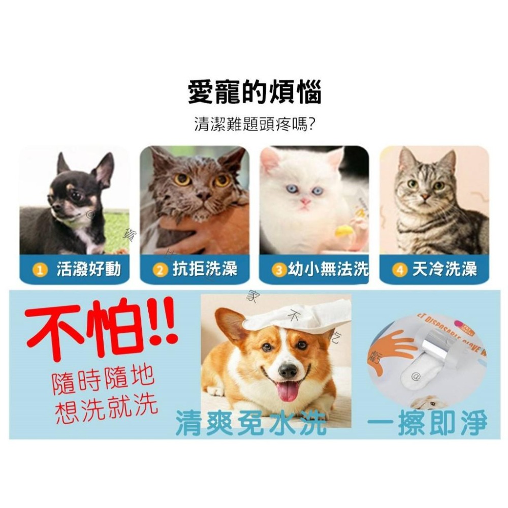 @貨比三家不吃虧@寵物免洗手套 寵物手套濕紙巾 貓狗洗澡寵物 擦澡 乾洗澡 乾洗擦屁股 一次性手套 寵物免洗 除臭-細節圖2
