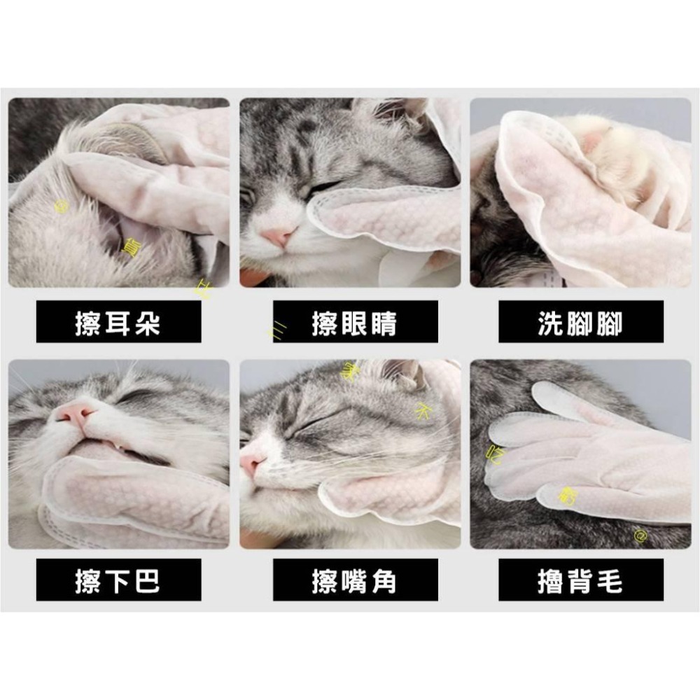 @貨比三家不吃虧@寵物免洗手套 寵物手套濕紙巾 貓狗洗澡寵物 擦澡 乾洗澡 乾洗擦屁股 一次性手套 寵物免洗 除臭-細節圖7