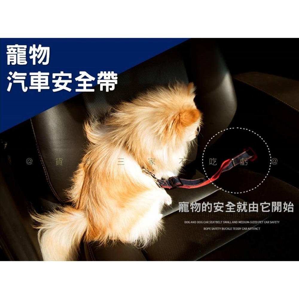 @貨比三家不吃虧@寵物汽車安全帶 寵物汽車安全繩 寵物安全 防暴衝牽繩 寵物兜風 牛仔布 開車必備 防狗跳車 寵物配件-細節圖4