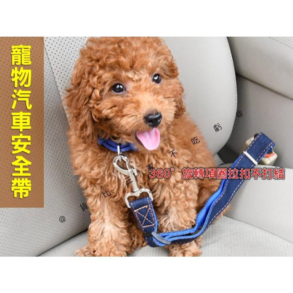 @貨比三家不吃虧@寵物汽車安全帶 寵物汽車安全繩 寵物安全 防暴衝牽繩 寵物兜風 牛仔布 開車必備 防狗跳車 寵物配件-細節圖5