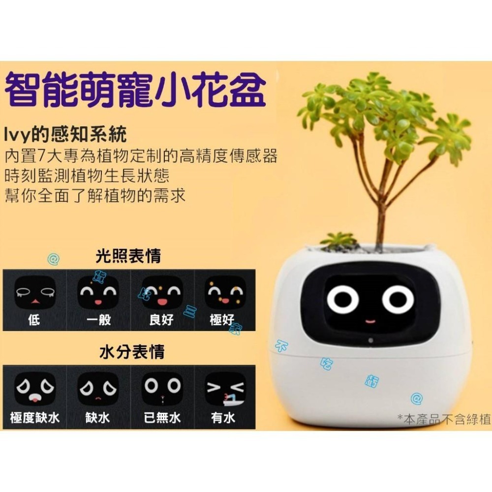 @貨比三家不吃虧@IVY智能萌寵小花盆 味天氣時鐘盆栽擺件 新奇禮物 創意 花器 客廳 懶人花盆 免澆水盆栽 窗臺園-細節圖2