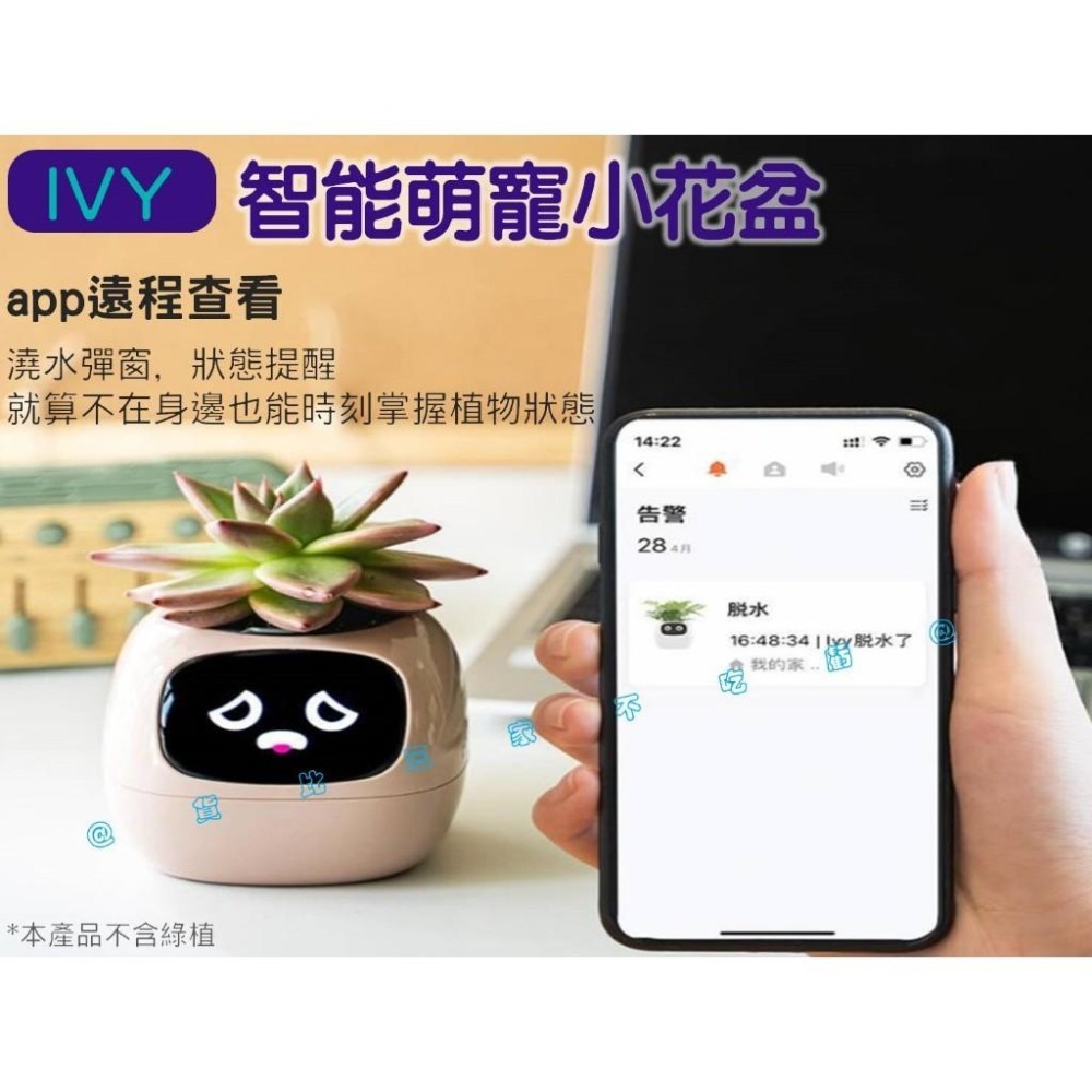 @貨比三家不吃虧@IVY智能萌寵小花盆 味天氣時鐘盆栽擺件 新奇禮物 創意 花器 客廳 懶人花盆 免澆水盆栽 窗臺園-細節圖3