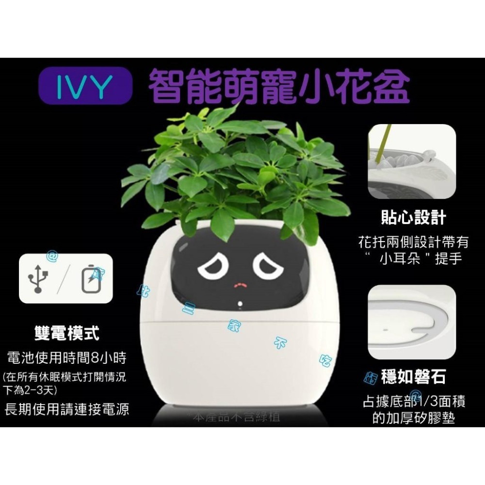 @貨比三家不吃虧@IVY智能萌寵小花盆 味天氣時鐘盆栽擺件 新奇禮物 創意 花器 客廳 懶人花盆 免澆水盆栽 窗臺園-細節圖5